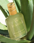 beauty shot of Ligne St. Barth Aloe Vera Gel with Mint 200 ml within an aloe plant