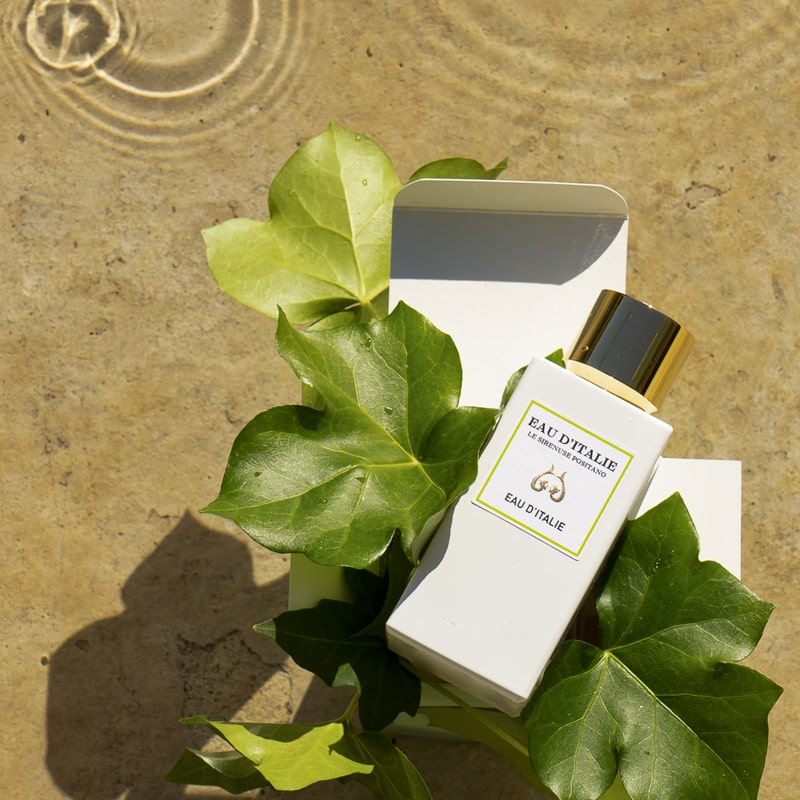 Lifestyle shot top view of Eau d&#39;Italie Eau de Parfum Spray (100 ml) with water and ivy leaves in the background