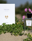 ALTAIA Atacama Eau de Parfum beauty shot showing bottle and box on sandy landscape with pink flowers and leaves in the background