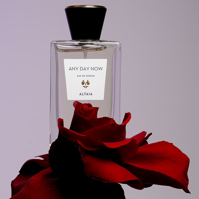 ALTAIA Any Day Now Eau de Parfum - Product shown on top of rose.