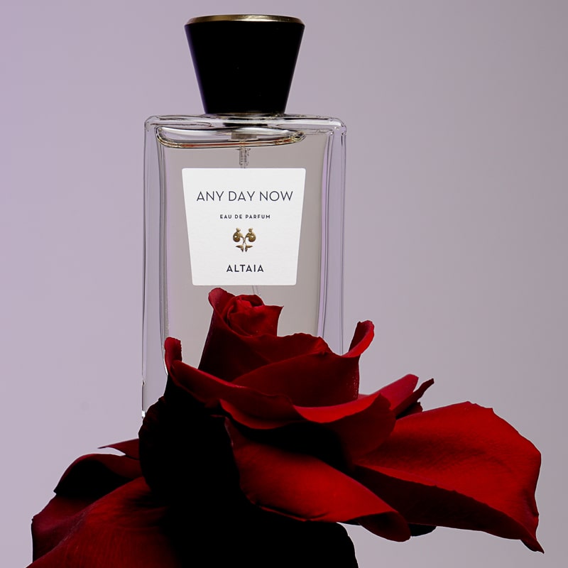 ALTAIA Wonder of You Eau de Parfum – Beauty Frontier