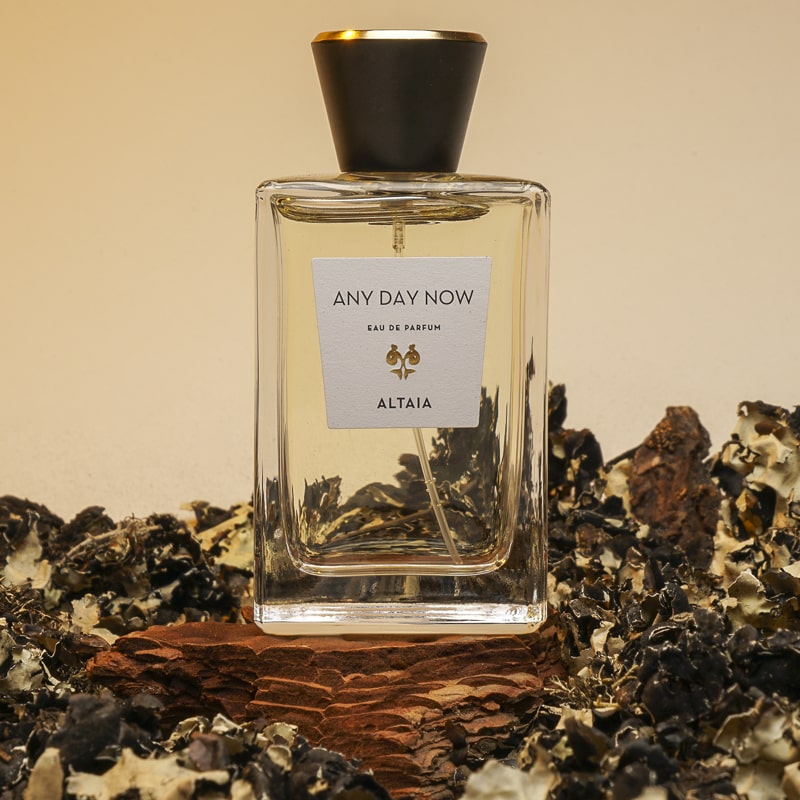 ALTAIA Any Day Now Eau de Parfum - Product shown on top of log