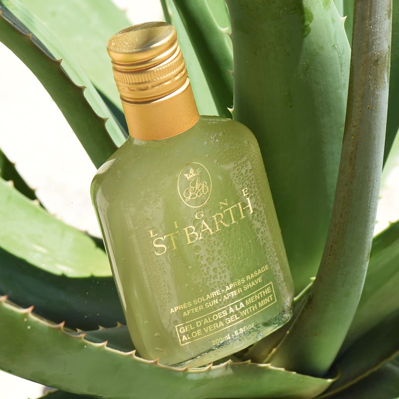 beauty shot of Ligne St. Barth Aloe Vera Gel with Mint 200 ml within an aloe plant